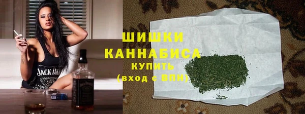 ГАЛЛЮЦИНОГЕННЫЕ ГРИБЫ Вязники